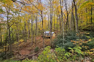 25 Hollow Log Rd, Burnsville, NC 28714 - Photo 1