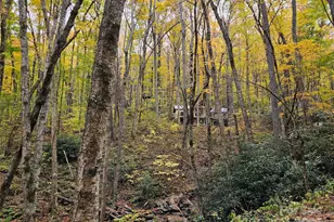 25 Hollow Log Rd, Burnsville, NC 28714 - Photo 30