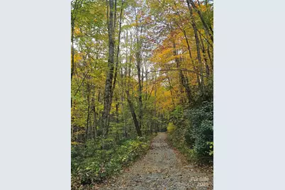 25 Hollow Log Road, Burnsville, NC 28714 - Photo 36