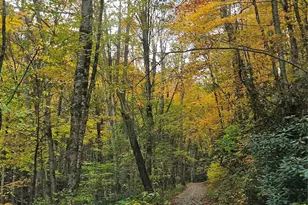 25 Hollow Log Rd, Burnsville, NC 28714 - Photo 36