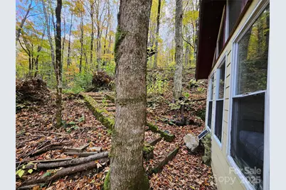 25 Hollow Log Road, Burnsville, NC 28714 - Photo 32