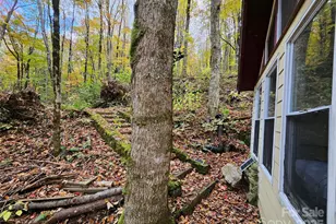 25 Hollow Log Rd, Burnsville, NC 28714 - Photo 32