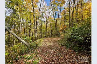 25 Hollow Log Road, Burnsville, NC 28714 - Photo 34
