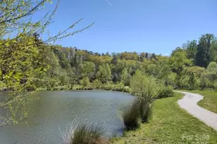 33 Lake Dr, Hendersonville, NC 28739 - Photo 16