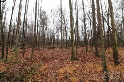 4.63+/-Ac Eaker Road #LOT 2, Bessemer City, NC 28016 - Photo 4