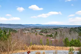 242 Lakeview Trl, Nebo, NC 28761 - Photo 4