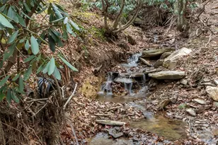 741 S Toe River Rd, Burnsville, NC 28714 - Photo 10