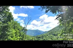 000 Wayah Zooshuga Rd, Maggie Valley, NC 28751 - Photo 4