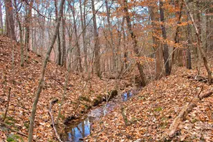 196 Moriah Dr, Rutherfordton, NC 28139 - Photo 20