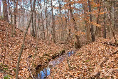 196 Moriah Drive, Rutherfordton, NC 28139 - Photo 20