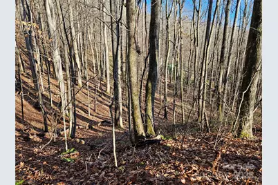 000 Serenity Drive #27, Waynesville, NC 28785 - Photo 10