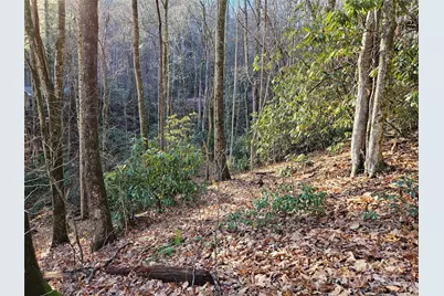 000 Serenity Drive #27, Waynesville, NC 28785 - Photo 12