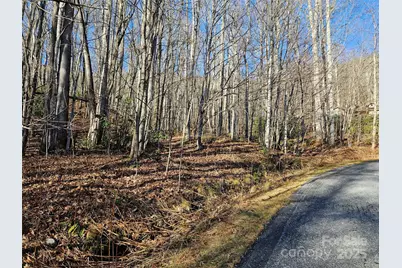 000 Serenity Drive #27, Waynesville, NC 28785 - Photo 1