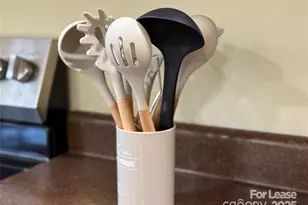 5 Elmore St, Asheville, NC 28804 - Photo 28