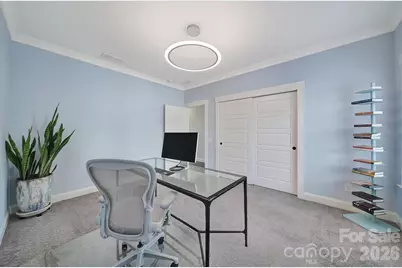 8912 Blakeney Drive, Charlotte, NC 28277 - Photo 32