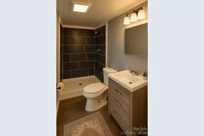 94 Leopard Drive, Waynesville, NC 28786 - Photo 44