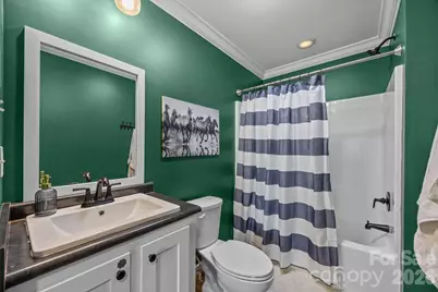 94 Leopard Drive, Waynesville, NC 28786 - Photo 34