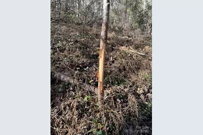 Tbd Lost Hollow Road, Burnsville, NC 28714 - Photo 24