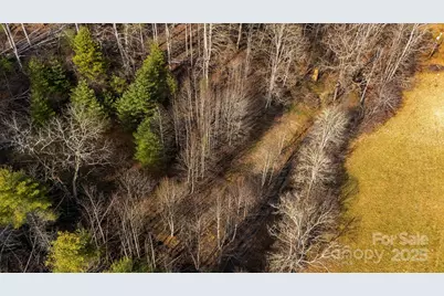 Tbd Lost Hollow Road, Burnsville, NC 28714 - Photo 10