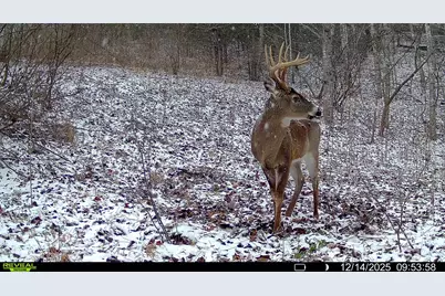 Tbd Lost Hollow Road, Burnsville, NC 28714 - Photo 18