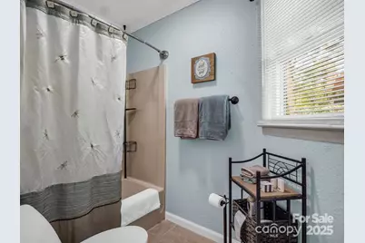 160 Whitney Boulevard, Lake Lure, NC 28746 - Photo 14