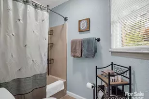 160 Whitney Blvd, Lake Lure, NC 28746 - Photo 14