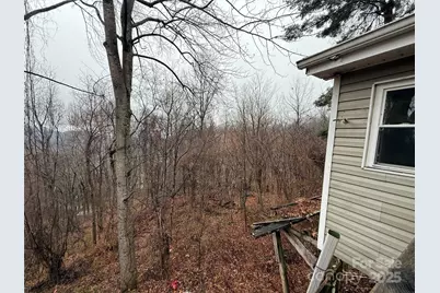 201 Mountain Vista Road, Canton, NC 28716 - Photo 20