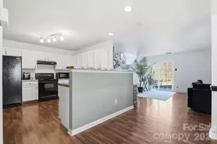 5825 Brookfield Pointe Dr, Charlotte, NC 28216 - Photo 8