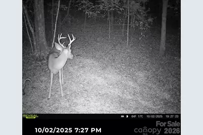 V/L Southern Way, Nebo, NC 28761 - Photo 8