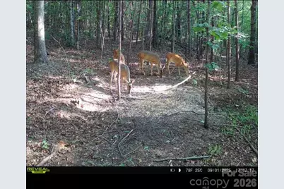 V/L Southern Way, Nebo, NC 28761 - Photo 1