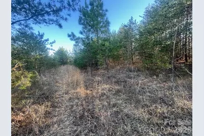 V/L Southern Way, Nebo, NC 28761 - Photo 12