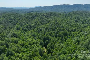 2967 & 2941 Roby Martin Rd, Lenoir, NC 28645 - Photo 28