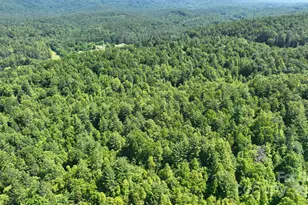 2941 Roby Martin Rd, Lenoir, NC 28645 - Photo 36