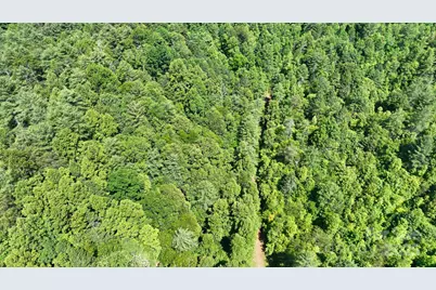 2941 Roby Martin Road, Lenoir, NC 28645 - Photo 38