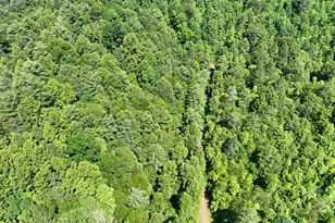 2941 Roby Martin Rd, Lenoir, NC 28645 - Photo 38