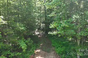 2941 Roby Martin Rd, Lenoir, NC 28645 - Photo 40