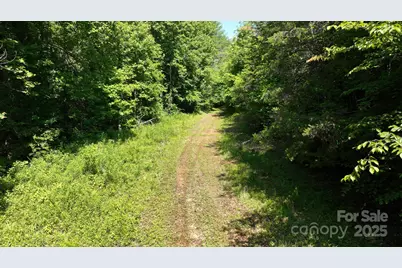 2941 Roby Martin Road, Lenoir, NC 28645 - Photo 34