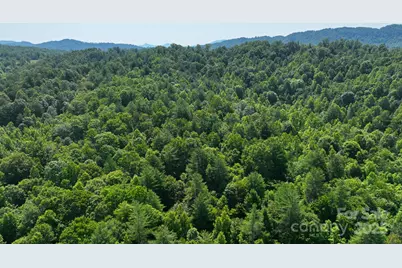 2967 Roby Martin Road, Lenoir, NC 28645 - Photo 34