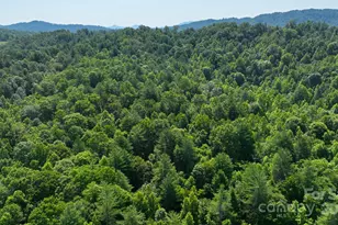 2967 Roby Martin Rd, Lenoir, NC 28645 - Photo 34