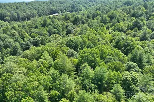 2967 Roby Martin Rd, Lenoir, NC 28645 - Photo 32