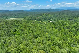 2967 Roby Martin Rd, Lenoir, NC 28645 - Photo 30