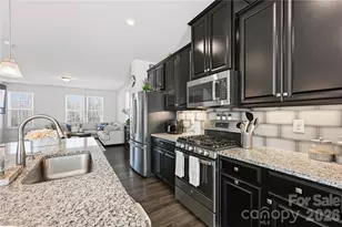 1172 Ashbury St, Charlotte, NC 28216 - Photo 18