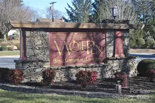 51 Barn Owl Way, Hendersonville, NC 28792 - Photo 18