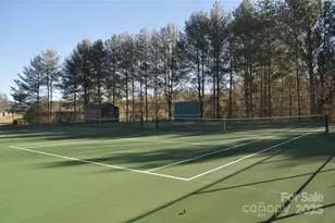 51 Barn Owl Way, Hendersonville, NC 28792 - Photo 16