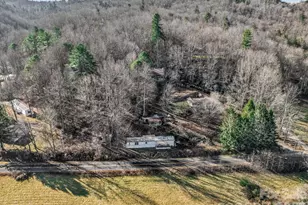 9 Blue Grass Cir, Rosman, NC 28772 - Photo 8