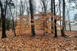 8225 Teeter Dr, Charlotte, NC 28215 - Photo 8