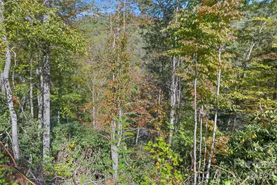 16 Harleys Cove, Waynesville, NC 28785 - Photo 18