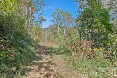 16 Harleys Cove, Waynesville, NC 28785 - Photo 2