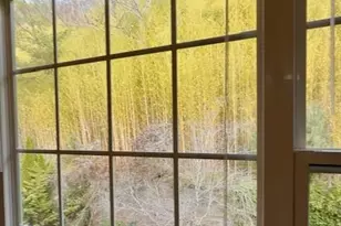 2000 Olde Eastwood Village Blvd, Asheville, NC 28803 - Photo 8