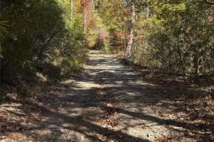 Tbd Mack Luke Rd, Whittier, NC 28789 - Photo 18